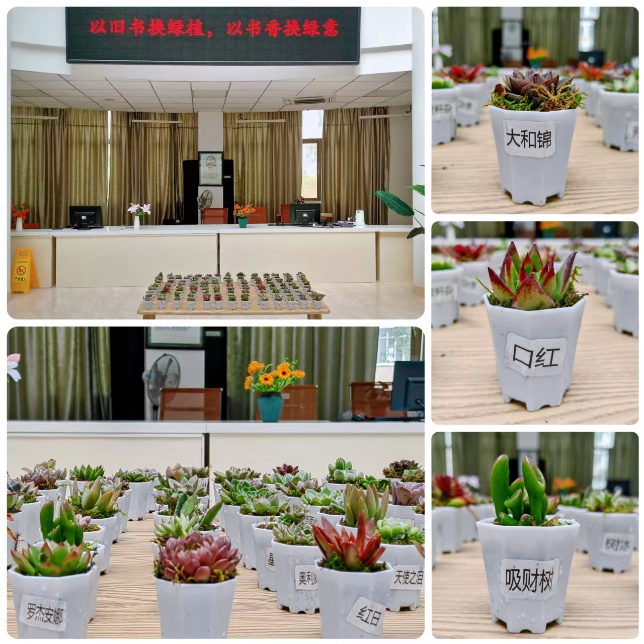 旧书换绿植.jpg 旧书换绿植.jpg