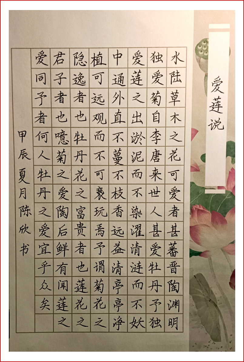 047、陈欣2023级20五年专2班13960605452.png