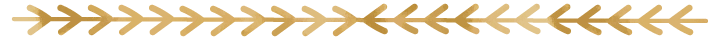 6387231455463424934374789.png